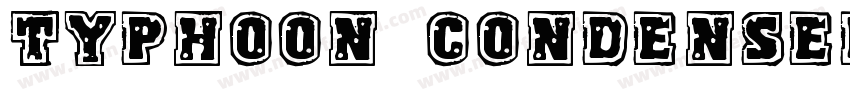 Typhoon Condensed Italic Condensed字体转换